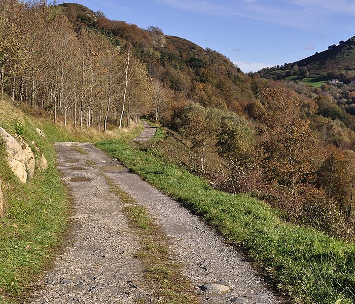 camino_2