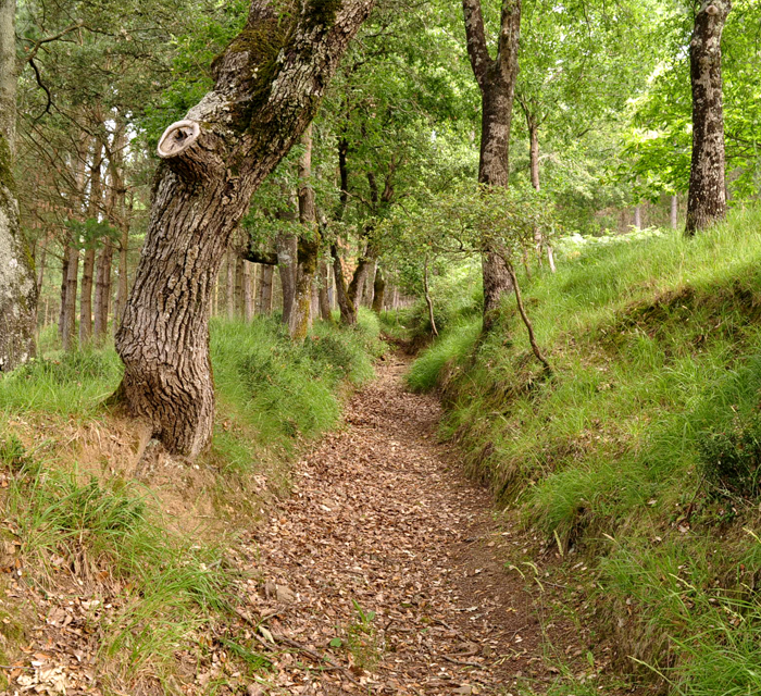 inventario-de-caminos-3